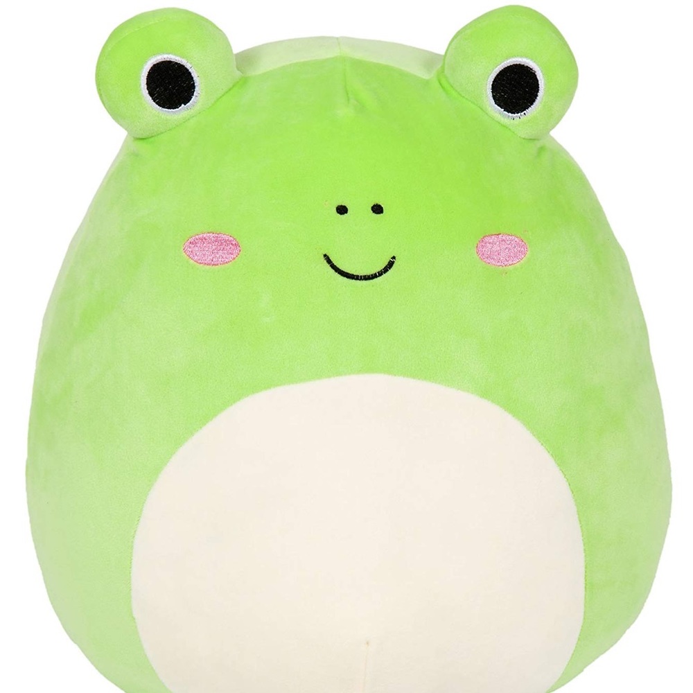 NWT Wendy the Frog Squishmallow 7.5”